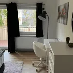 Rent 4 bedroom apartment of 100 m² in Frankfurt