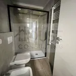 Rent 2 bedroom apartment of 40 m² in Milano