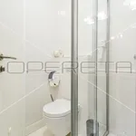 Rent 1 bedroom apartment of 38 m² in City of Zagreb