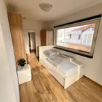 Miete 2 Schlafzimmer wohnung von 55 m² in Frankfurt