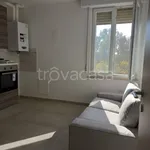 Rent 1 bedroom apartment of 100 m² in Colorno