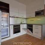 Rent 2 bedroom apartment in Brno