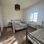 Rent 3 bedroom apartment of 100 m² in Bibbona