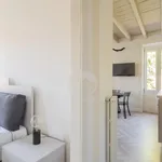 Rent 1 bedroom apartment of 50 m² in monza