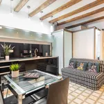 Rent 1 bedroom apartment in Barcelona