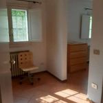 Affitto 1 camera appartamento di 55 m² in Modena