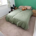 Rent 4 bedroom house in East Midlands