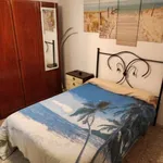 Rent a room in alicante