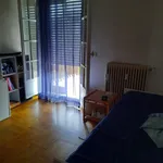 Rent 6 bedroom apartment of 16 m² in padova