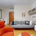 Rent 2 bedroom apartment of 58 m² in Milan