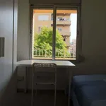 Rent a room in Valencia