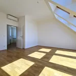 Rent 3 bedroom apartment of 87 m² in Vienna