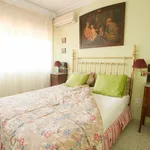 Rent 4 bedroom house in Seville