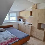 Rent 1 bedroom apartment in Zlín