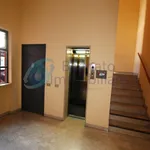 Rent 2 bedroom apartment of 50 m² in Novara