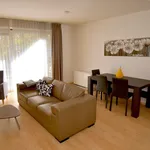 Rent 1 bedroom apartment in Brussel