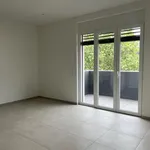 Rent 2 bedroom apartment of 48 m² in Lugano