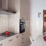 Rent 4 bedroom apartment of 100 m² in Isernia