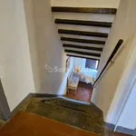 Rent 3 bedroom apartment of 60 m² in Pisa