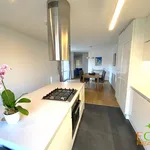 Rent 4 bedroom apartment of 90 m² in Pilsen