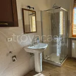 Rent 2 bedroom apartment of 45 m² in Pavia