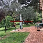 Rent 4 bedroom house of 90 m² in Velletri