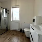 Rent 5 bedroom house of 100 m² in Rzeszów