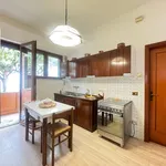 Apartment good condition, ground floor, Pietrasanta