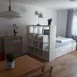 Rent 1 bedroom apartment of 32 m² in Frankfurt