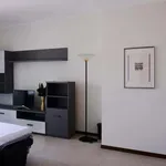 Rent 2 bedroom apartment of 40 m² in Milan