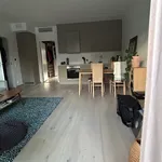 Rent 2 bedroom apartment of 57 m² in Oslo