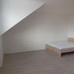 Rent 1 bedroom apartment of 30 m² in Brno