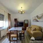 FULLY RENOVATED APARTMENT IN GUARROMAN