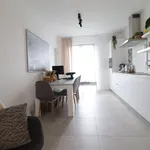 Rent 1 bedroom apartment in Antwerpen