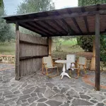 Bilocale con cucinotto e giardino | Italiana Immobiliare