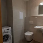 Rent 1 bedroom apartment in Capital City of Prague