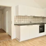 Rent 3 bedroom apartment of 82 m² in Dresden