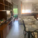 Rent 5 bedroom apartment of 120 m² in Bologna