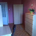 Rent 2 bedroom apartment of 38 m² in Poznań