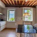 Rent 3 bedroom apartment of 142 m² in Lucca