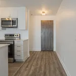  appartement avec 1 chambre(s) en location à Montreal