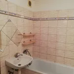 Rent 1 bedroom apartment of 45 m² in Brno