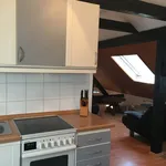 Rent 1 bedroom apartment of 50 m² in Frankfurt am Main