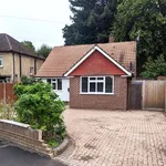 Detached bungalow to rent in Sandy Lane, Woking GU22