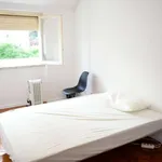 Rent 1 bedroom apartment in lisbon