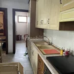 Rent 3 bedroom apartment of 60 m² in Rome