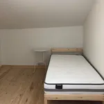 Rent 4 bedroom apartment in Porto