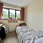 Rent 1 bedroom house in Winchester