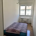 Rent 1 bedroom apartment of 10 m² in Milan