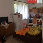 Rent 1 bedroom apartment in Rychnov nad Kněžnou